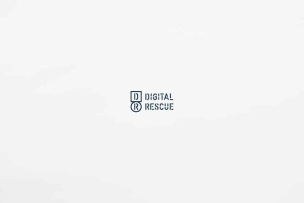 Big Landscape Digital Rescue Logo