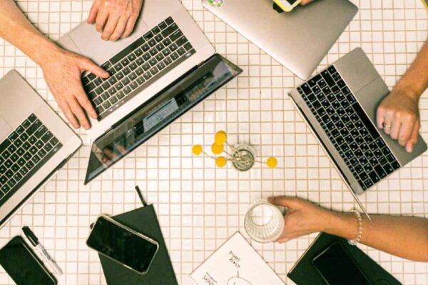 Group of People Working with Laptops