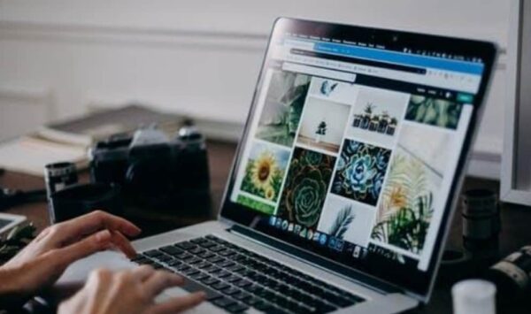 Person using A Laptop Looking for Flower Photos