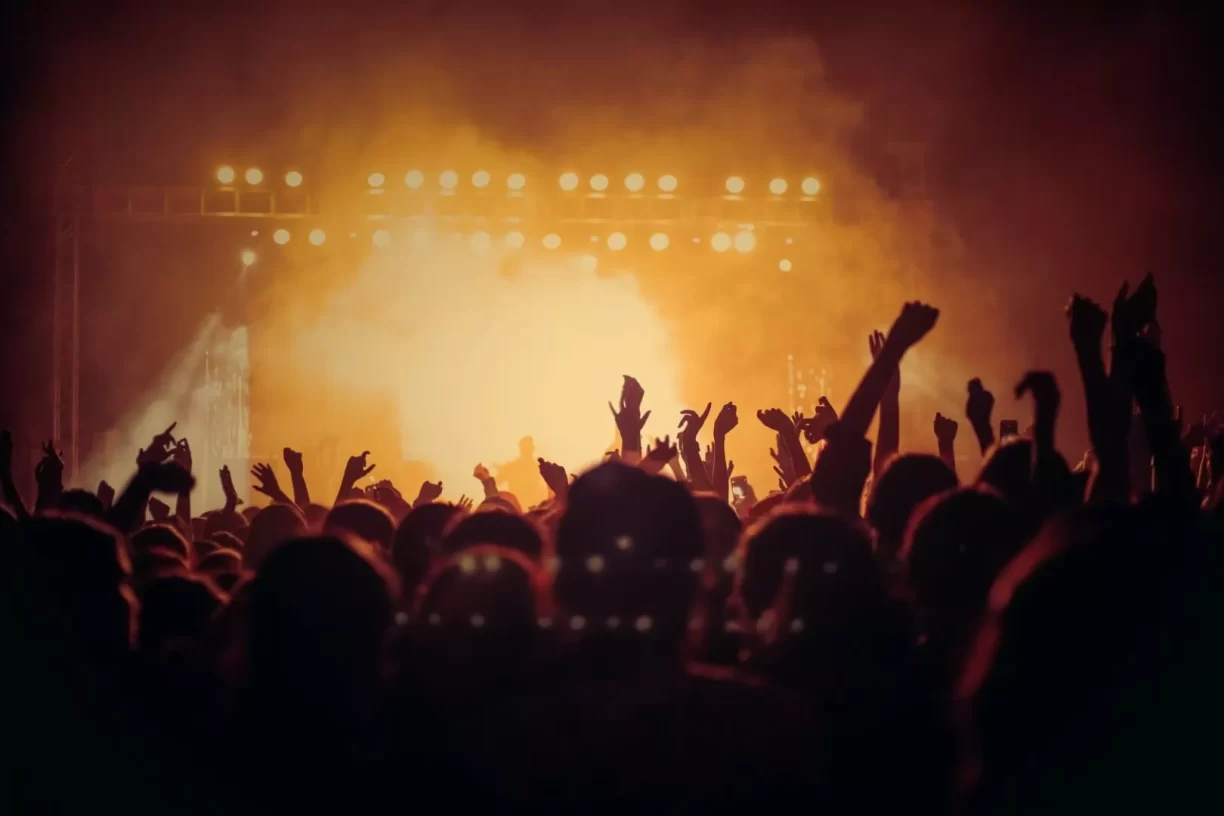 People Dancing In A Concert Party