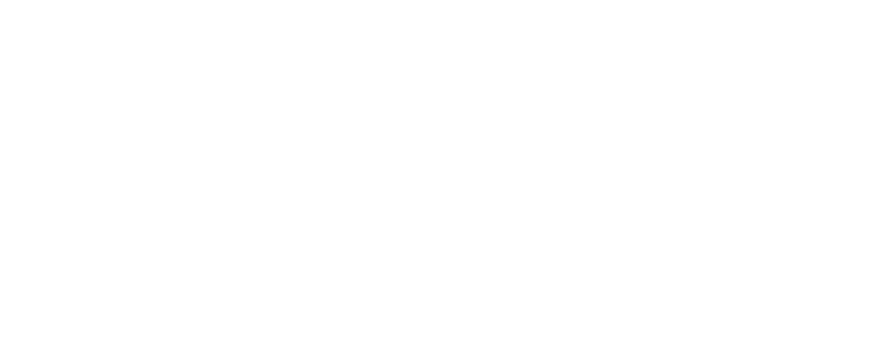 Noah Connect White Logo